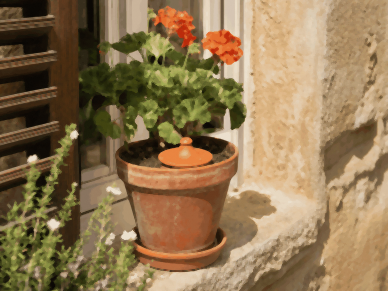 Oya 1 litre en terre cuite enterrée dans un pot de géranium, seuls le col et le couvercle dépassent