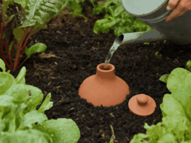 Oya de 1 litre en terre cuite remplie d'eau avant d'être enterrée dans un pot