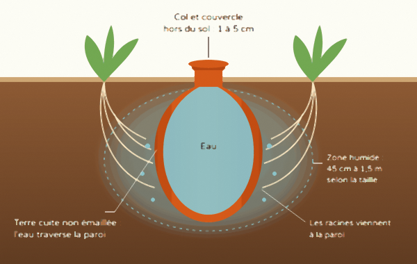 Schéma en coupe d'une oya enterrée : col et couvercle hors du sol, eau dans la jarre, zone humide autour et racines contre la paroi